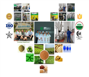 天然貫葉連翹 食品互聯(lián)網(wǎng)銷售的合規(guī)之道與市場(chǎng)前景